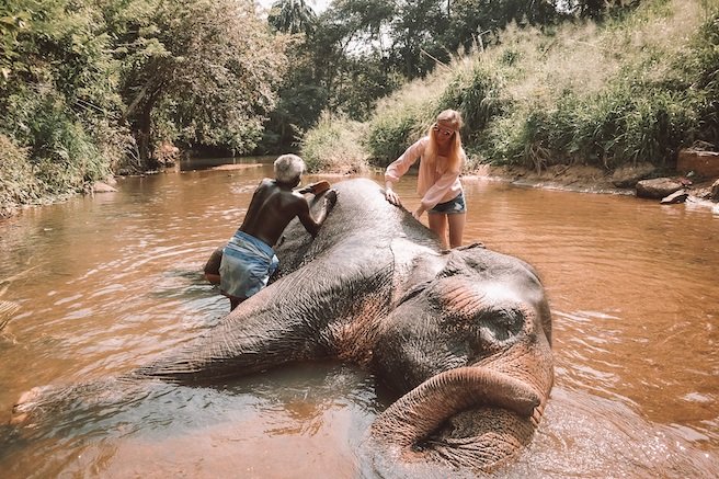 Elefanten waschen beim Freiwilligen Projekt in Sri Lanka
