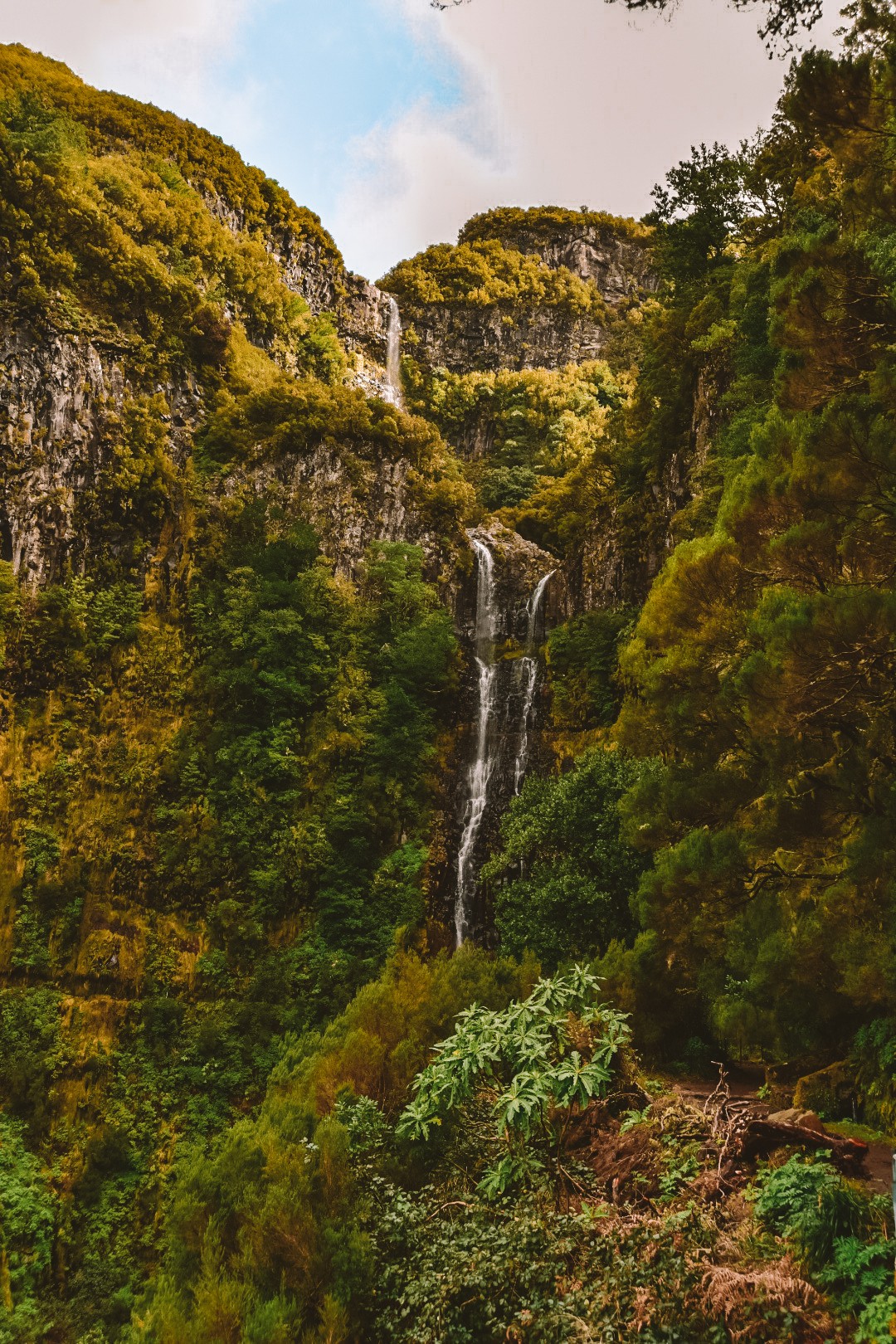 Risco Wasserfall Madeira