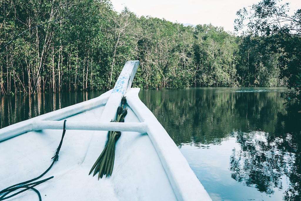 Mangrovenwald auf Langkawi, eines der schönsten Sehenswürdigkeiten in Malaysia