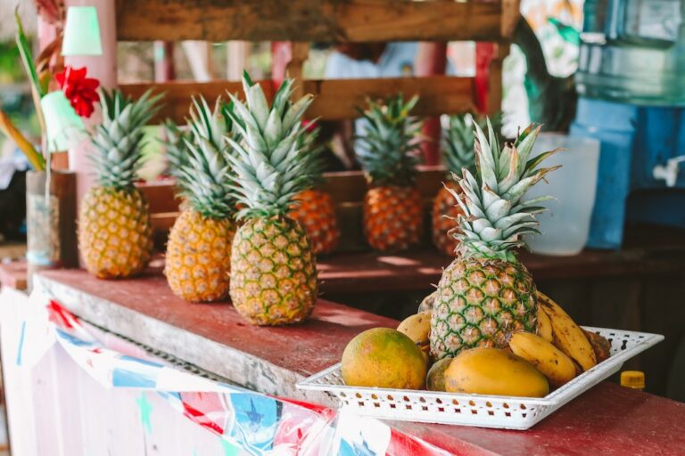 Bocas del Toro Anreise Sehenswürdigkeiten Tipps