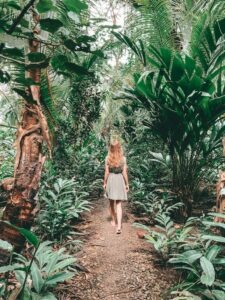 Naturreservat auf Isla Bastimentos