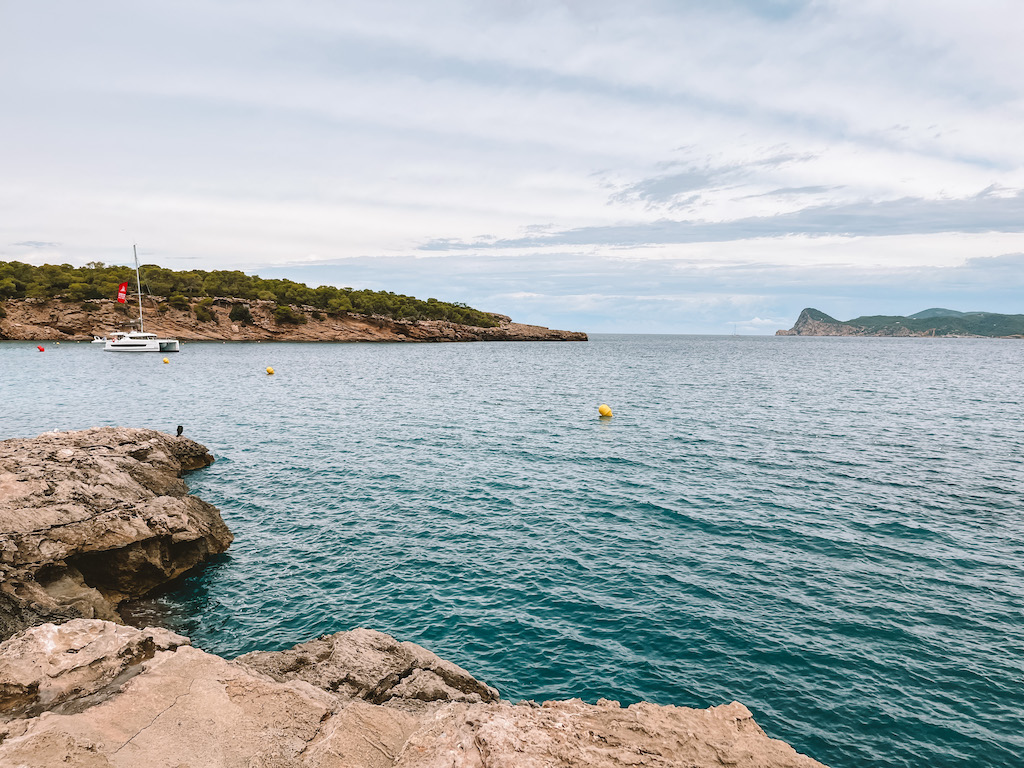 Azurblaues Wasser am Cala Bassa Strand in Ibiza, umgeben von Kiefernwäldern