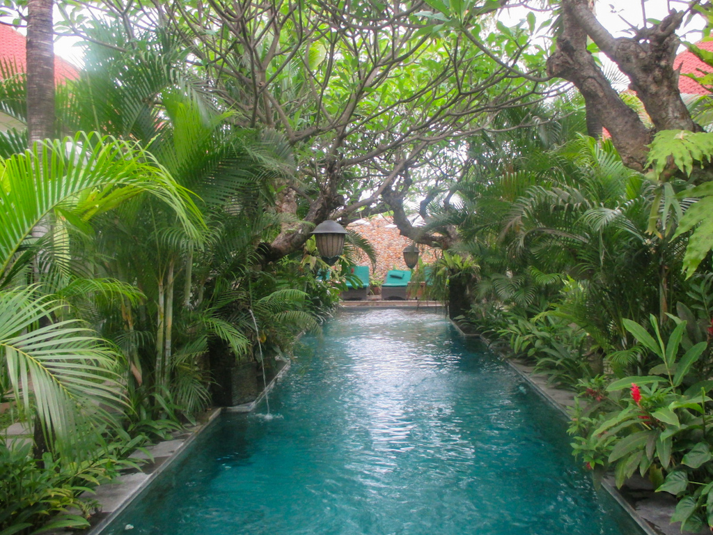 Pool umgeben von tropischen Pflanzen auf Bali